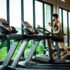 Low-Impact Cardio: Great Options for Joint-Friendly Workouts