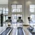Transform Your Health: The Science Behind Cardio Exercises